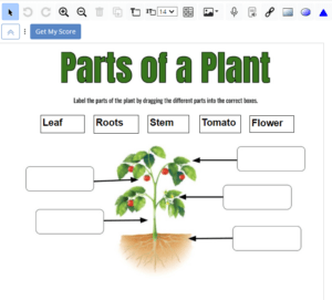 TeacherMade Shared Science Activity