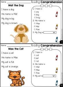 K-2 Reading Activity Made with TeacherMade and AI