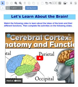 TeacherMade has video and is a cost-effective alternative to Edpuzzle