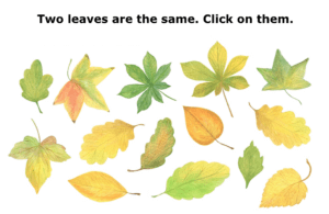 A reasoning exercise with leaves.